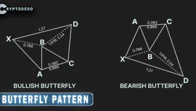 Butterfly Pattern