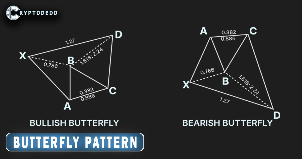 Butterfly Pattern