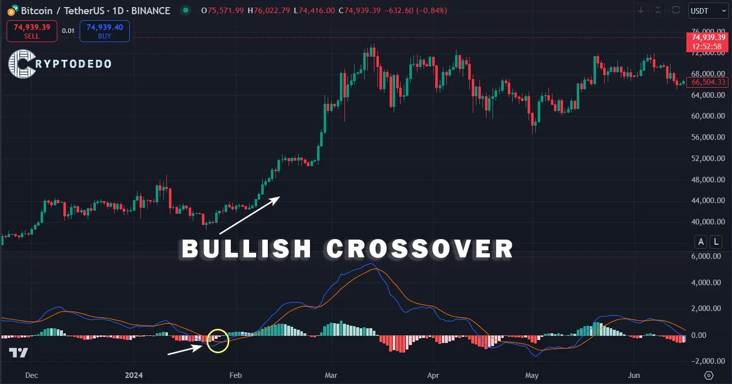 MACD Bullish Crossover